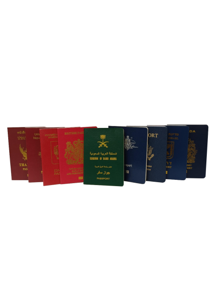 faux passeport de Roumanie